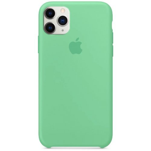 Silicone Case (AA) для iPhone 12 Pro Max (6.7") (Mint)-0